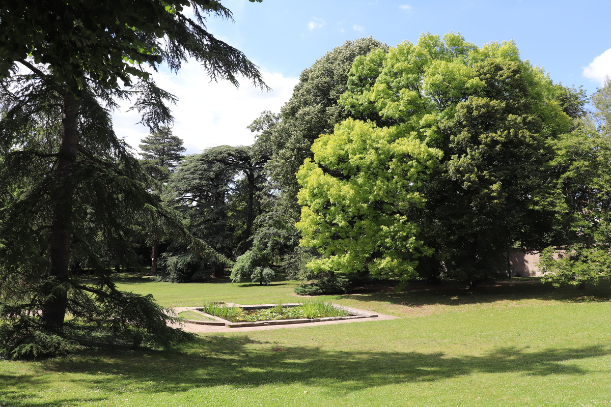 Sainte-Foy-Lès-Lyon - Ondine Rebillard Architecte d'intérieur vers Sainte-Foy-Lès-Lyon
